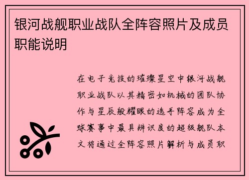 银河战舰职业战队全阵容照片及成员职能说明